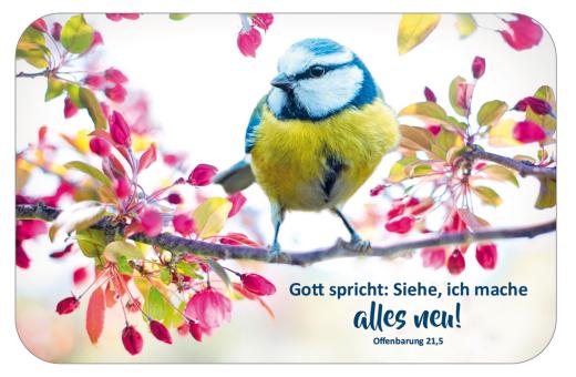 10er-Set - Mini-Scheckkarten-Kalender 2026 - Vogel 